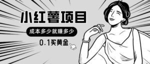 小红薯暴力项目，0.1买黄金。操作简单，日入无上限，可无限扩大-山水资源站