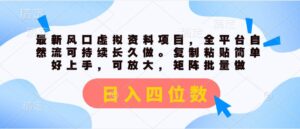 最新风口虚拟资料项目，全平台自然流可持续长久做。复制粘贴 日入四位数-山水资源站