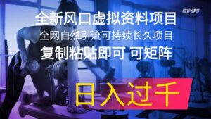 全新风口虚拟资料项目 全网自然引流可持续长久项目 复制粘贴即可可矩阵-山水资源站