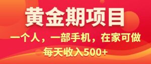 黄金期项目，电商搞钱！一个人，一部手机，在家可做，每天收入500+-山水资源站
