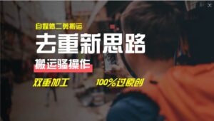 去重新思路，详细教你自媒体视频二剪搬运技术，自己加工双重去重100%过-山水资源站