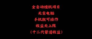 全自动挂机项目，无需电脑，手机就可操作，收益无上限-山水资源站