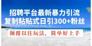 招聘平台最新暴力引流，复制粘贴式日引300+粉丝，颠覆以往垃圾玩法-山水资源站