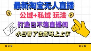 最新淘宝无人直播 公域+私域玩法打造真正的日不落直播间-山水资源站