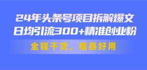 24年头条号项目拆解爆文，日均引流300+精准创业粉，全程干货，粗暴好用-山水资源站