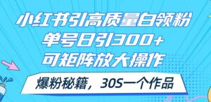 小红书引高质量白领粉，单号日引300+，可放大操作，爆粉秘籍！30s一个作品-山水资源站