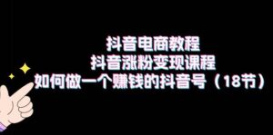 抖音电商教程：抖音涨粉变现课程：如何做一个赚钱的抖音号（18节）-山水资源站
