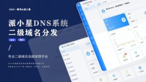 派小星DNS系统二级分发源码+搭建教程-山水资源站