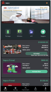 Napco海外投资理财源码/前端html+后端PHP+搭建教程-山水资源站