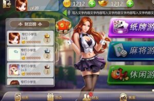 网狐系列二开欧亚平台棋牌程序-山水资源站