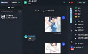 公共聊天室系统 ChatNet V1.11-V1.9 私人聊天源码 完整汉化版-山水资源站