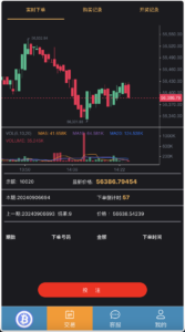 双语言BTC竞猜下注源码/usdt投注竞猜源码/前端html+后端php+搭建教程-山水资源站