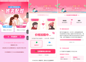 2025姓名配对系统最新带后台测算源码-山水资源站
