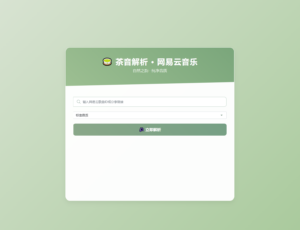 扣扣网易音乐解析UI模版 自适应双端-山水资源站