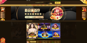 包网产品美盛-01模板/可打包APP+搭建教程-山水资源站