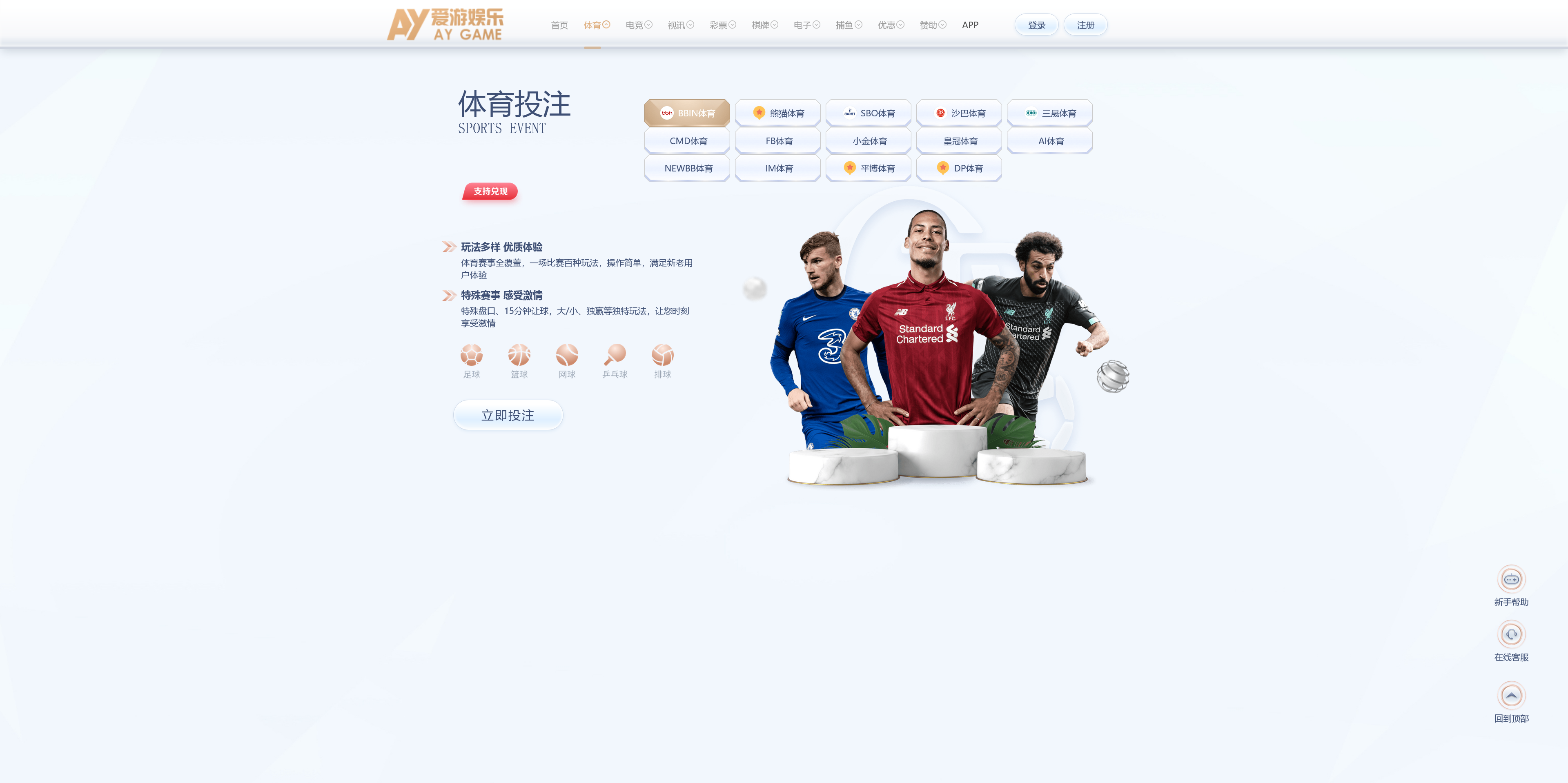 美盛系列包网模板爱游+搭建教程插图6