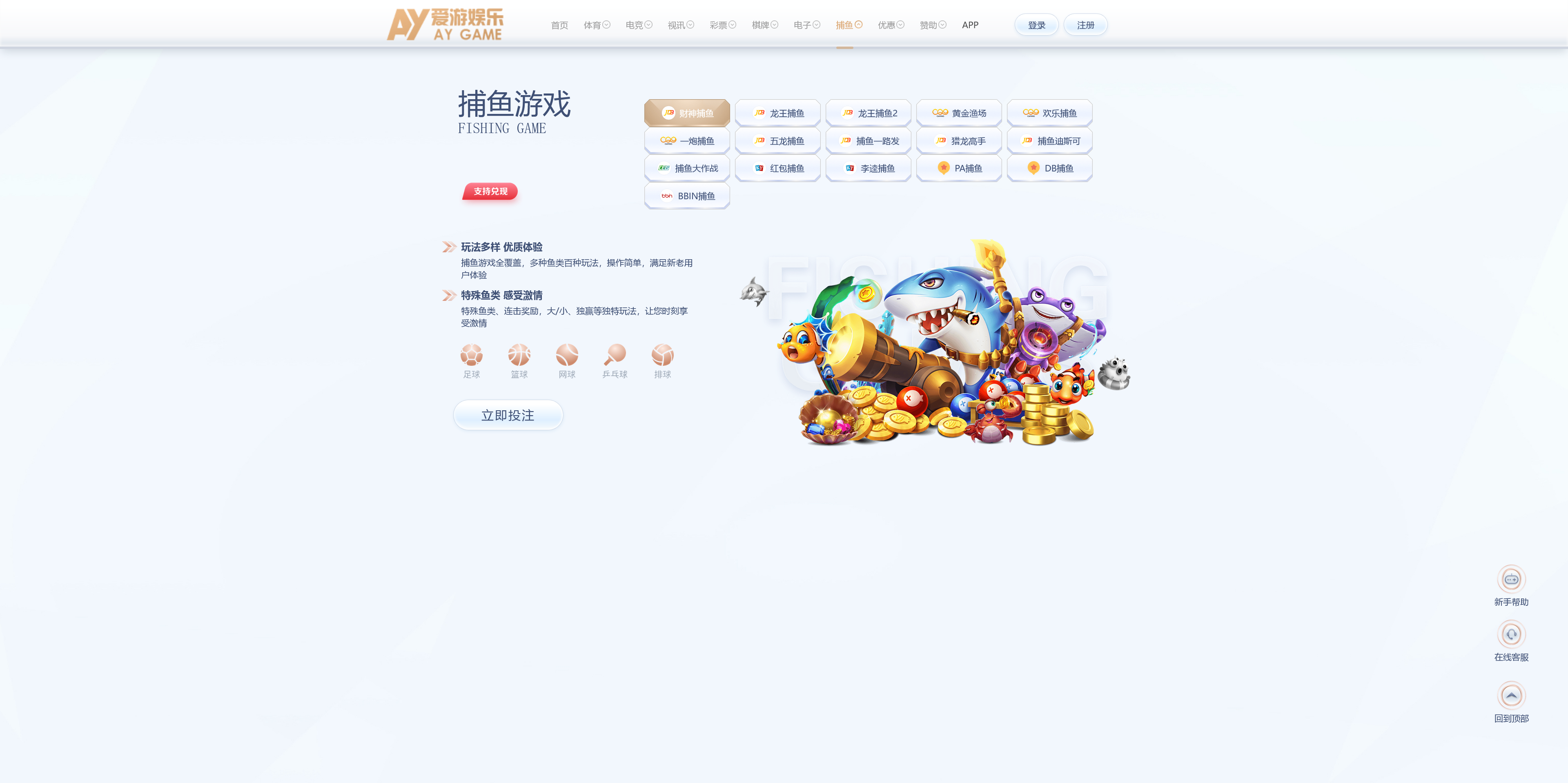 美盛系列包网模板爱游+搭建教程插图12